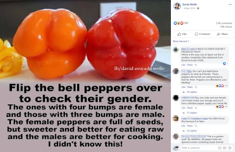 Bell pepper deals male female