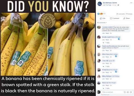 Why Buy Organic Bananas  Beyond the Chemical Load