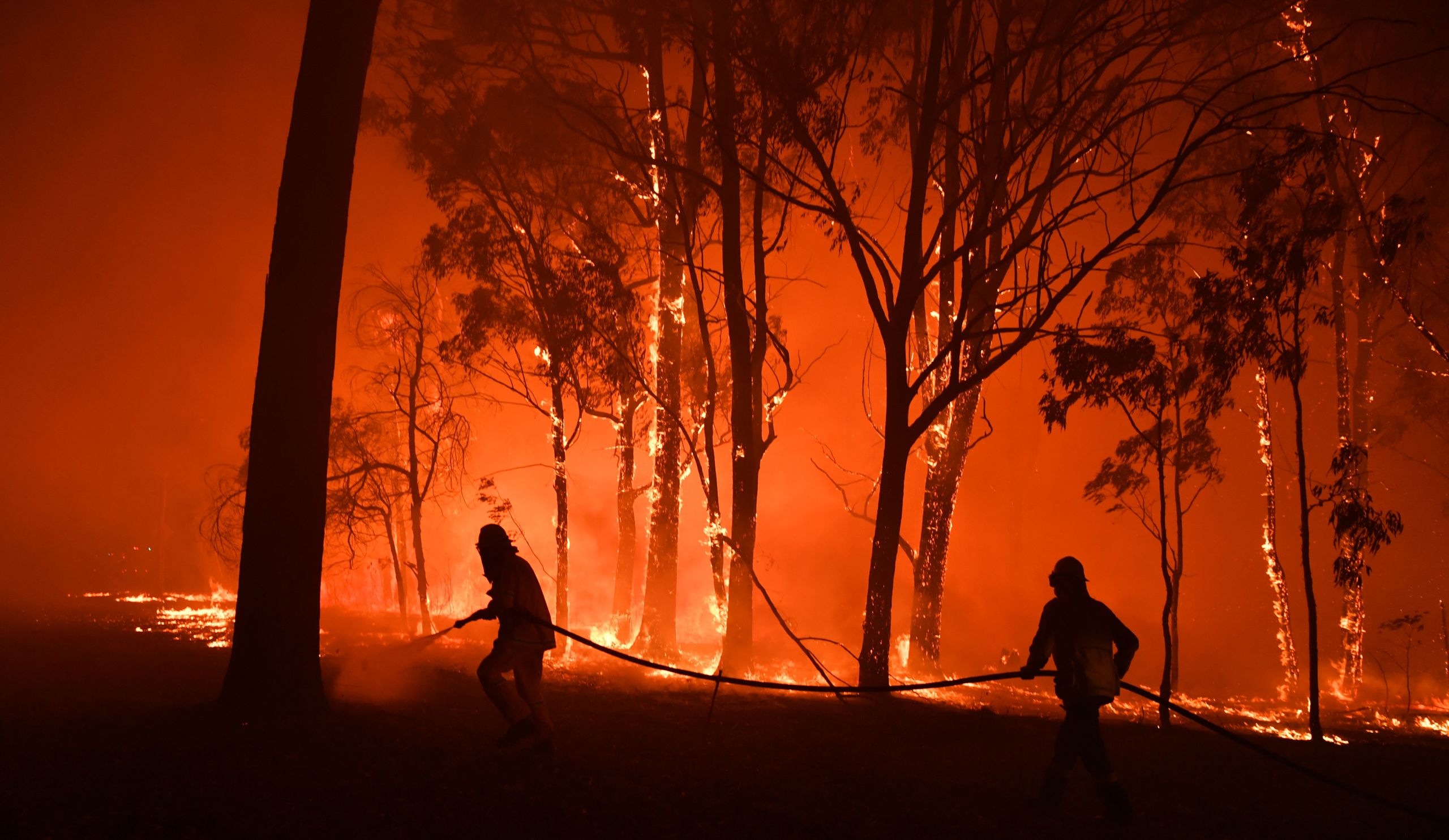 Firefighters battle a bushfire