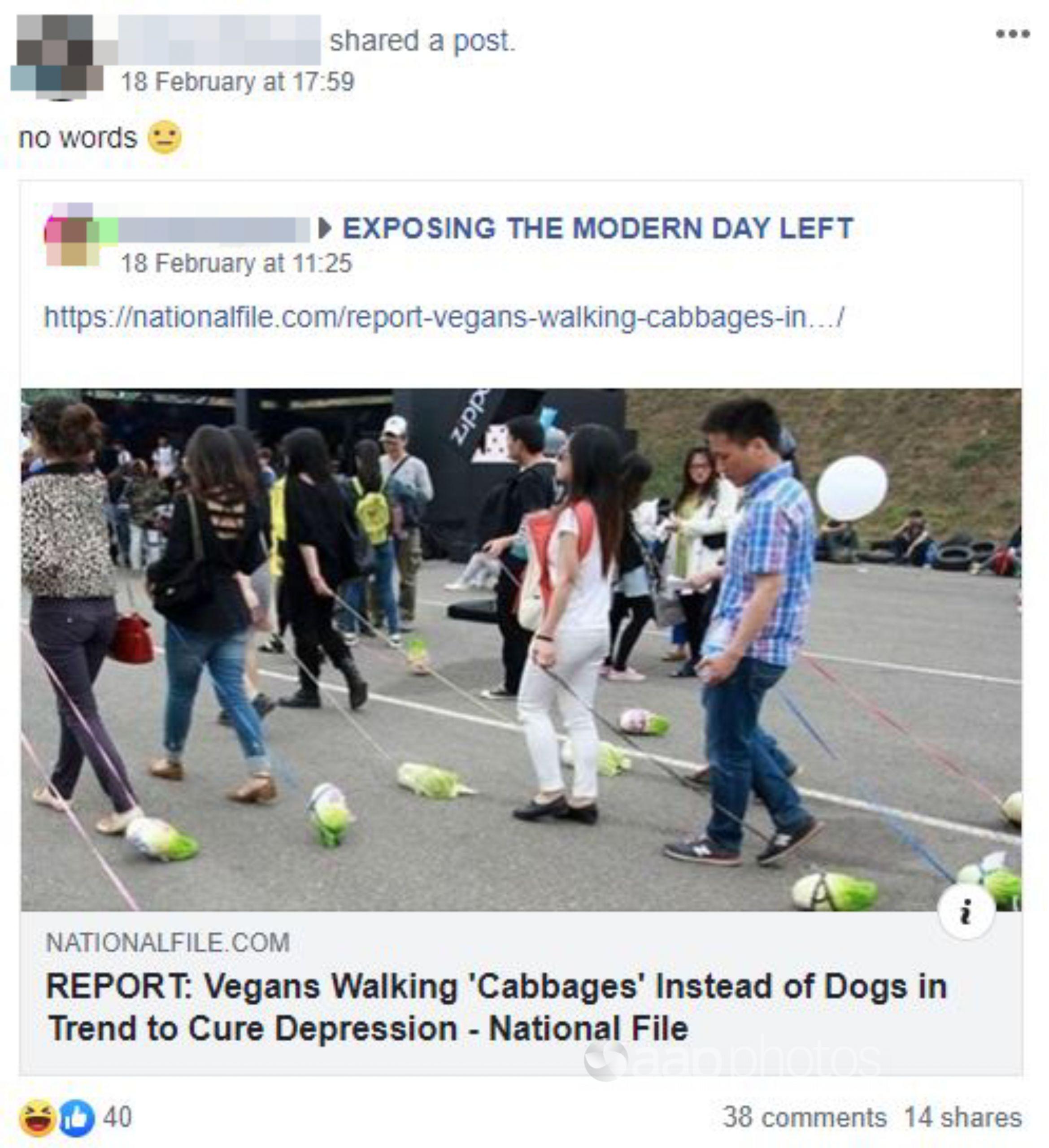 Young people walking and dragging cabbages on leashes.