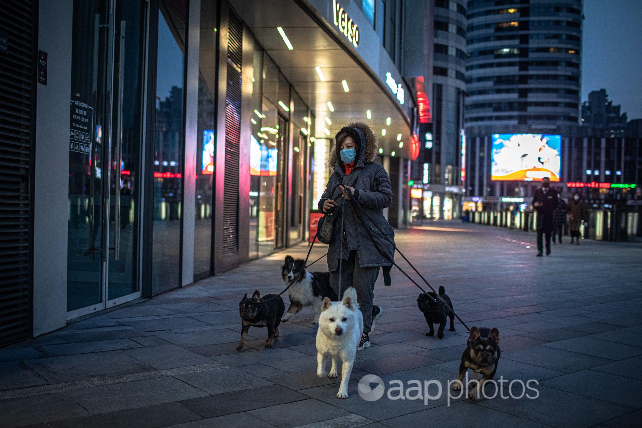 A woman wearing a protective face mask walks dogs in Beijing, China