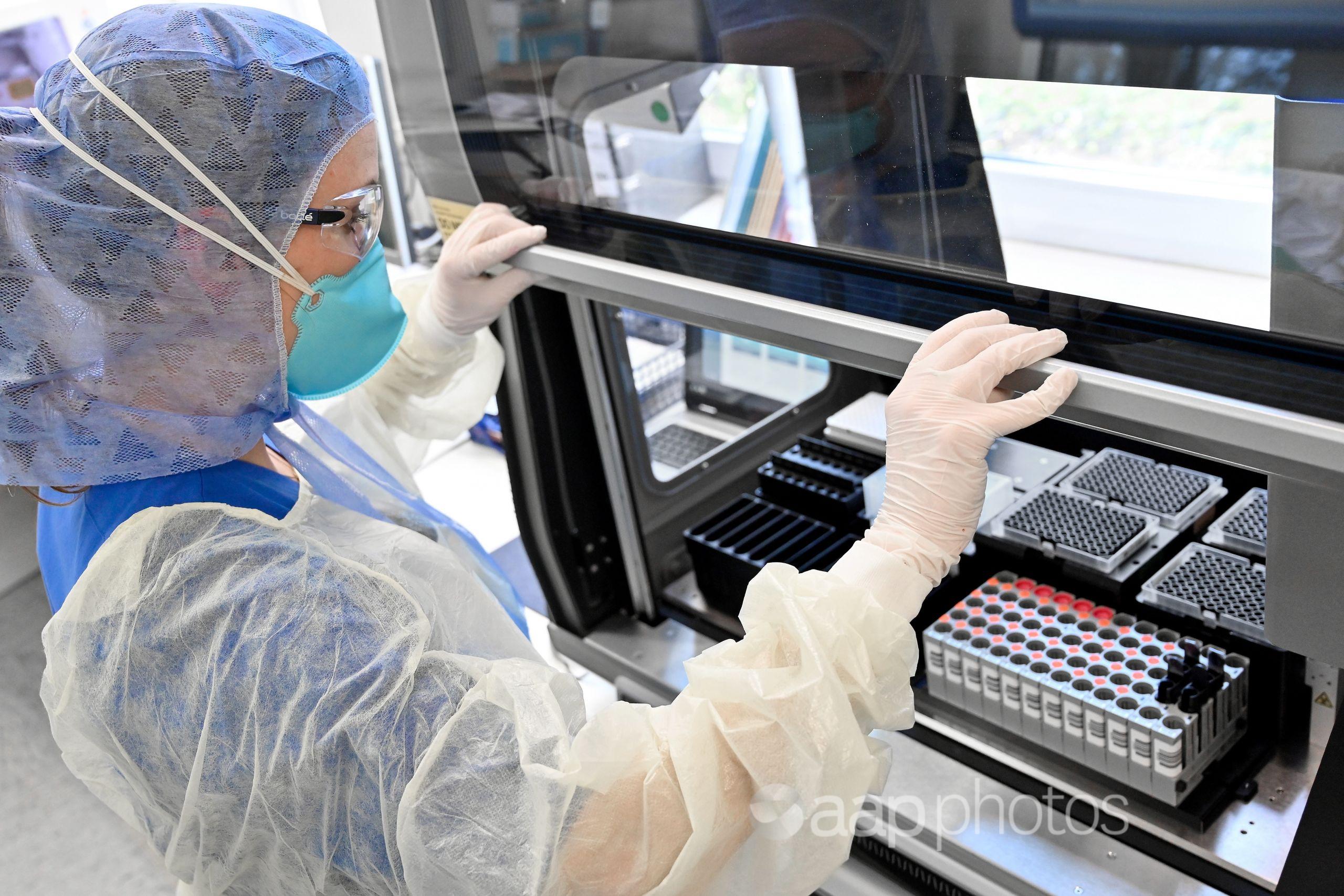 A molecular geneticist prepares a test for SARS-CoV-2