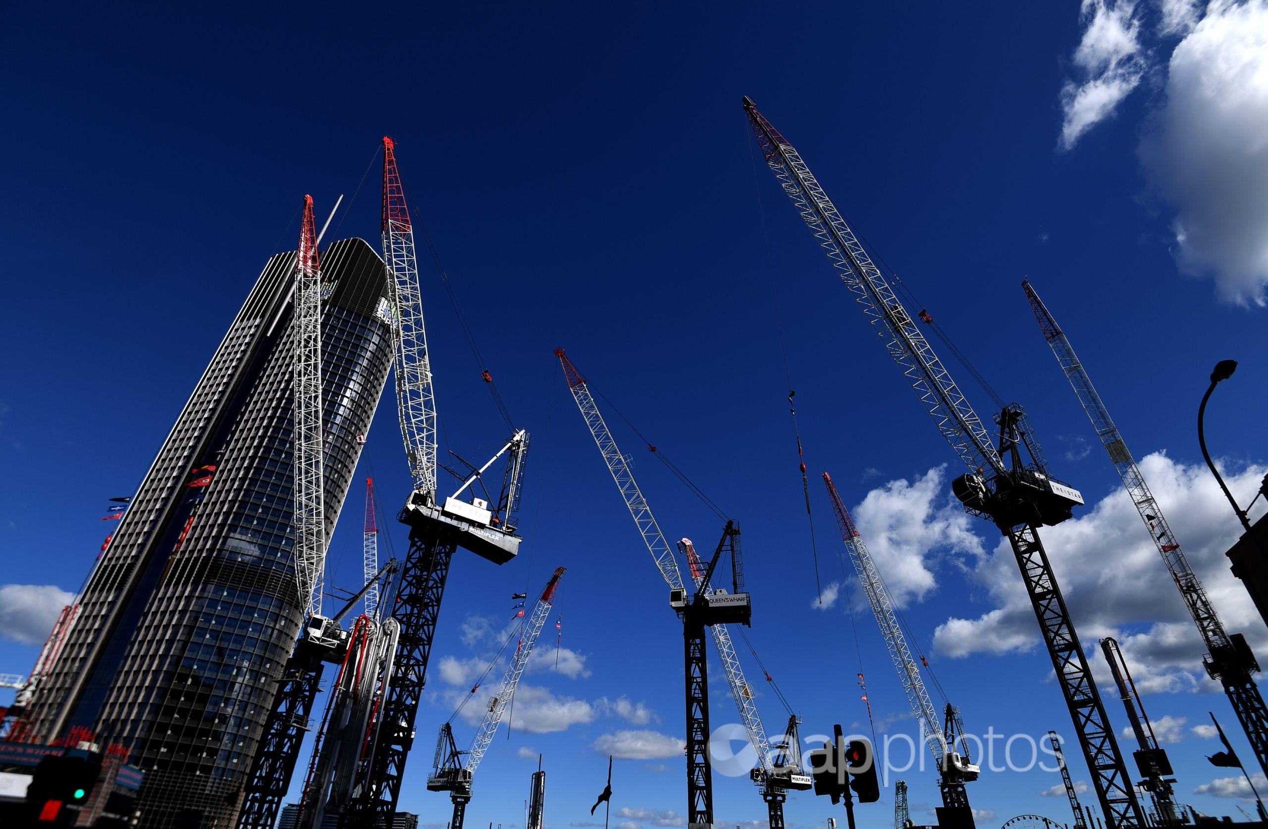 Cranes against a blue sky