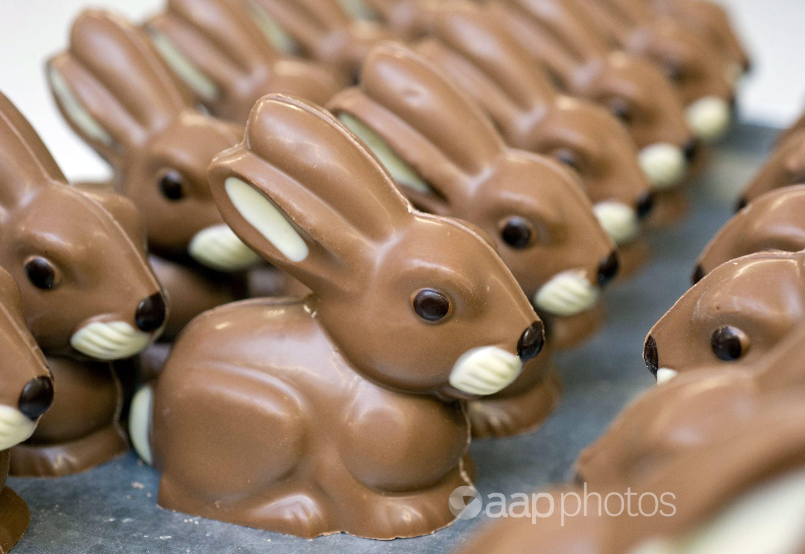 Chocolate Easter bunnies