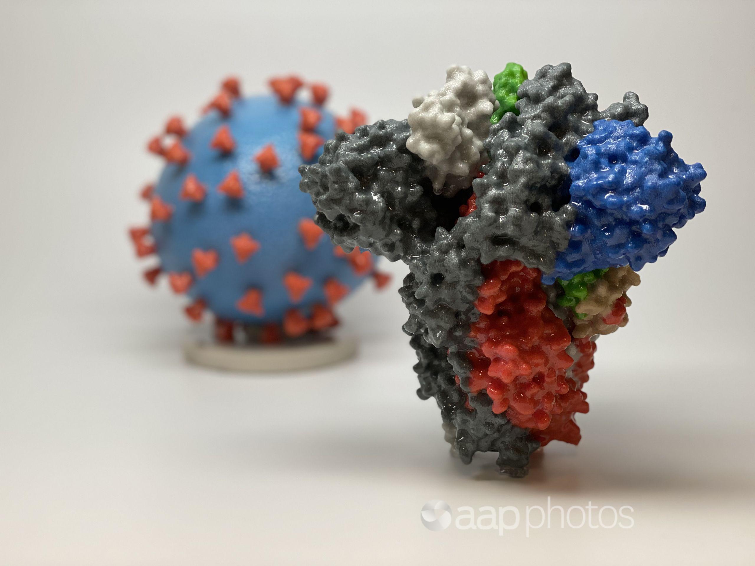 A 3D print of a spike protein.