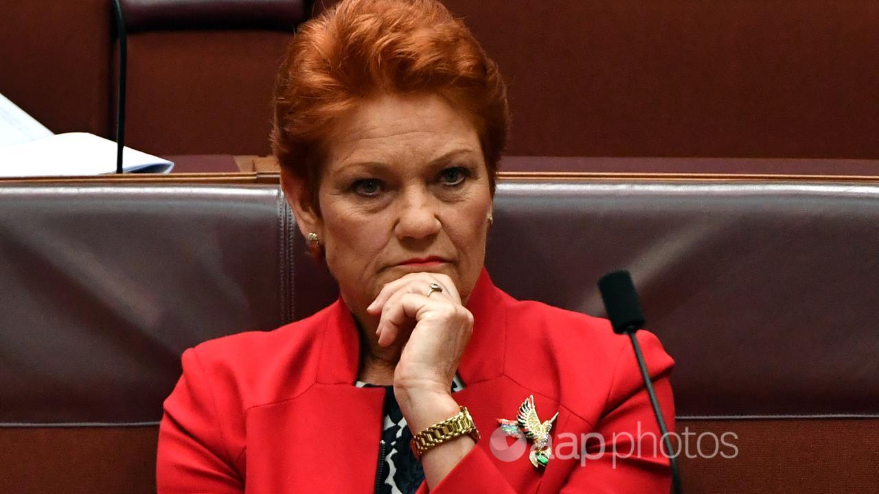 One Nation leader Pauline Hanson