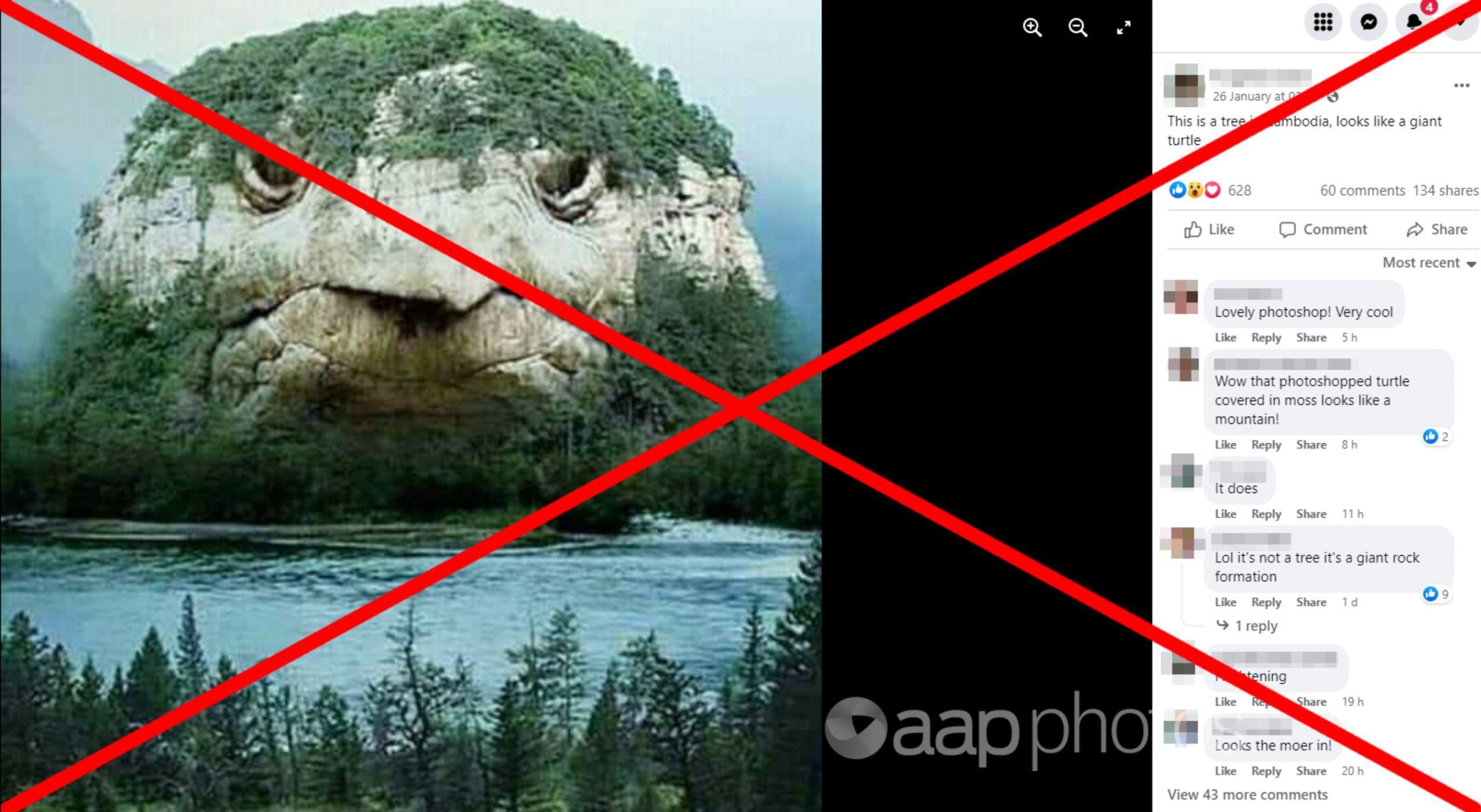 Truth has a mountain to climb to expose fake turtle’s head pic ...