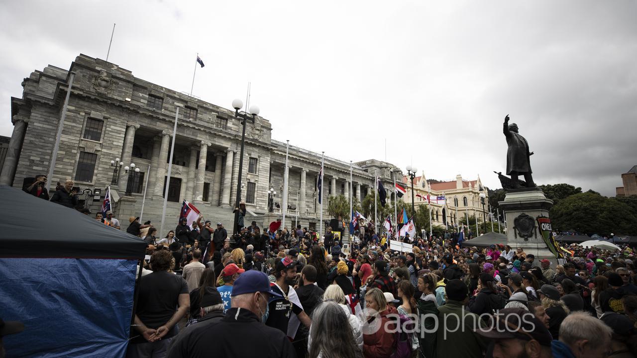 Vaccine mandate protesters in Wellington.