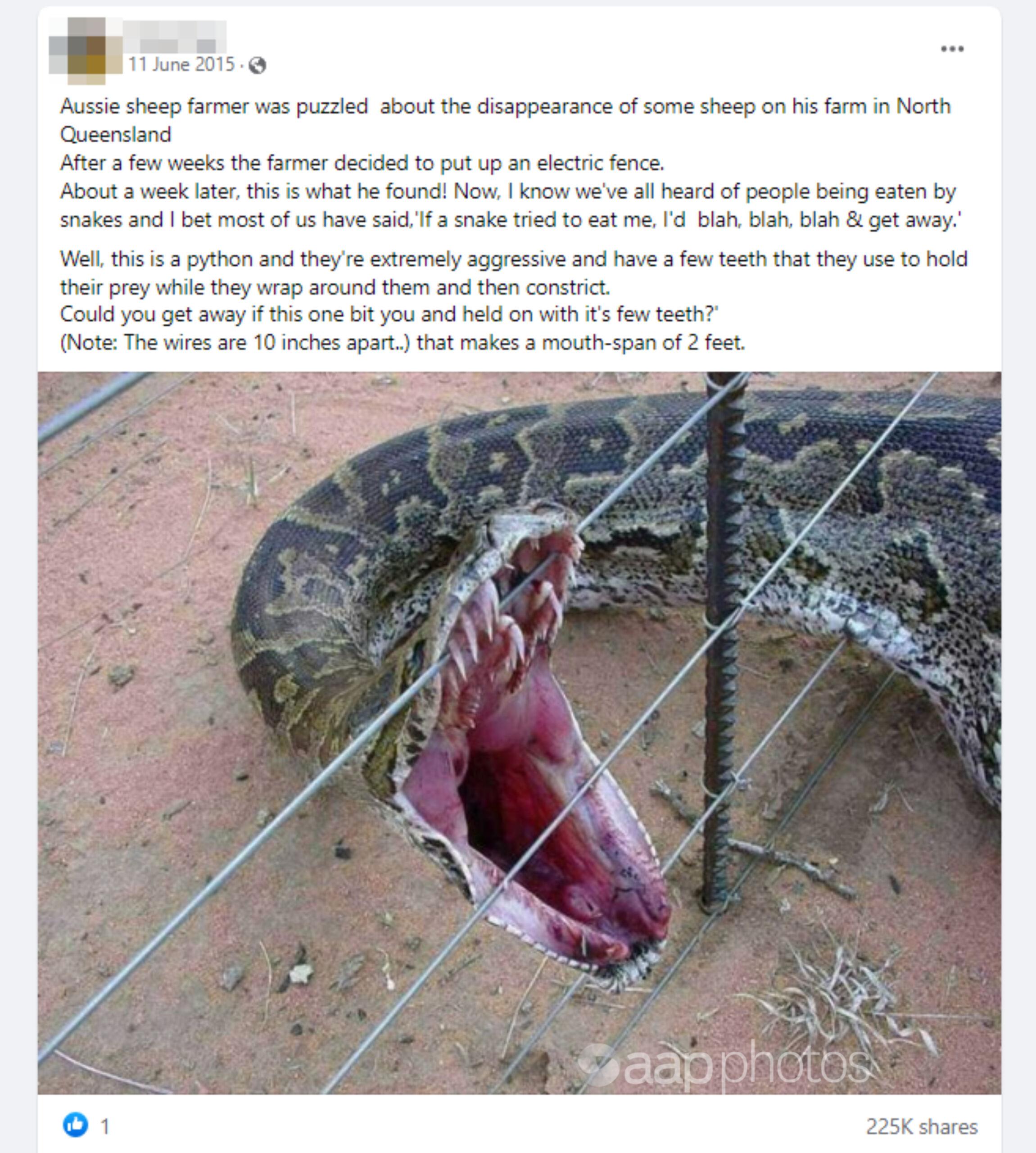 The image of the giant python caught on an electric fence.