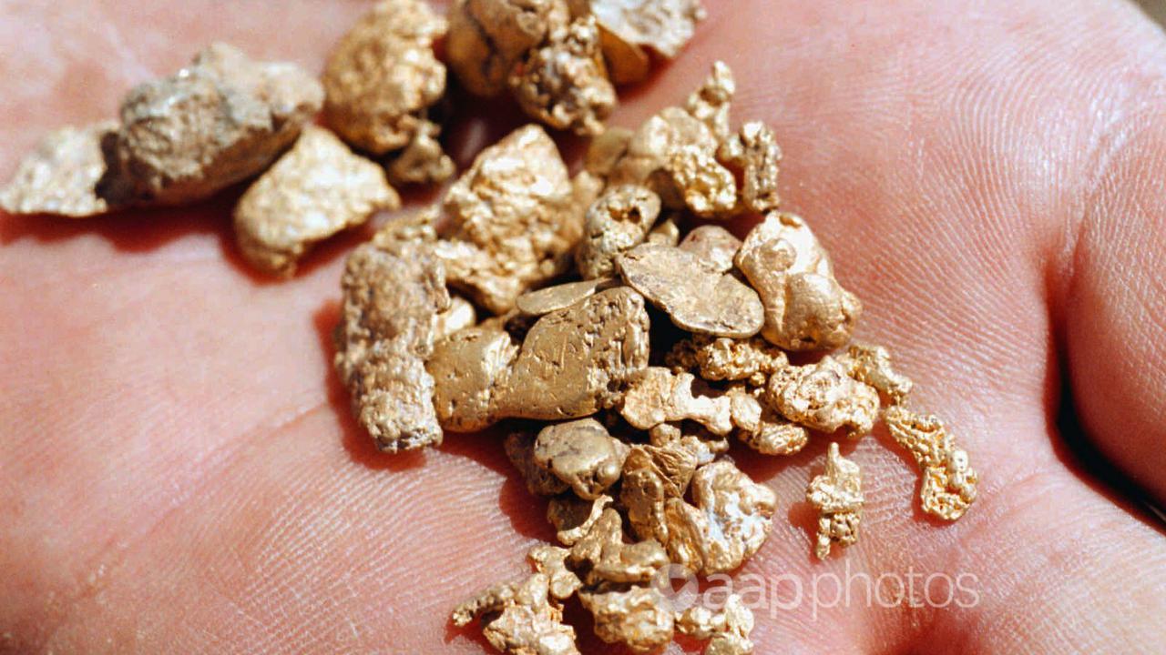 A handful of gold nuggets (file image)