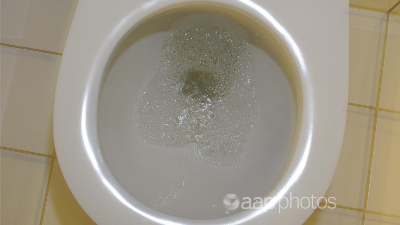 A toilet being flushed (file image)