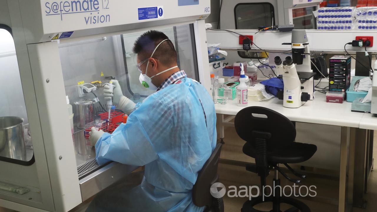 A scientist at the Doherty Institute in Melbourne (file image)