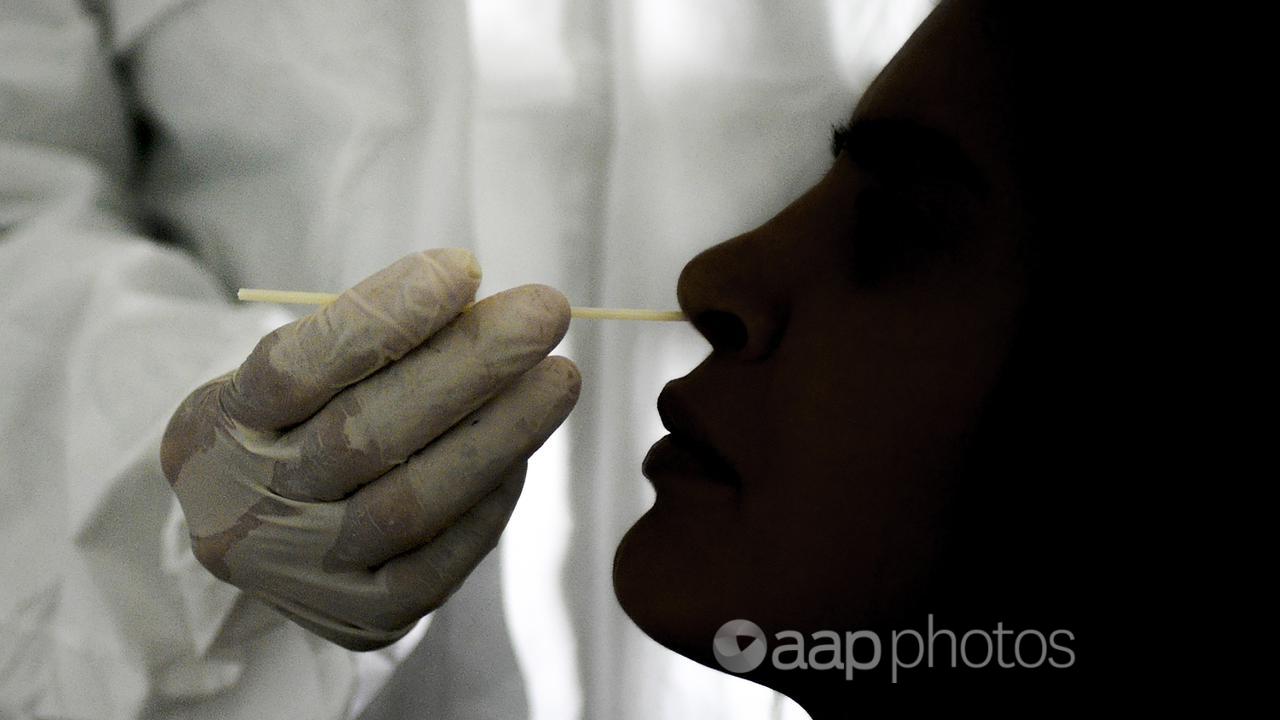 A doctor takes a nasal swab sample to test for COVID-19.