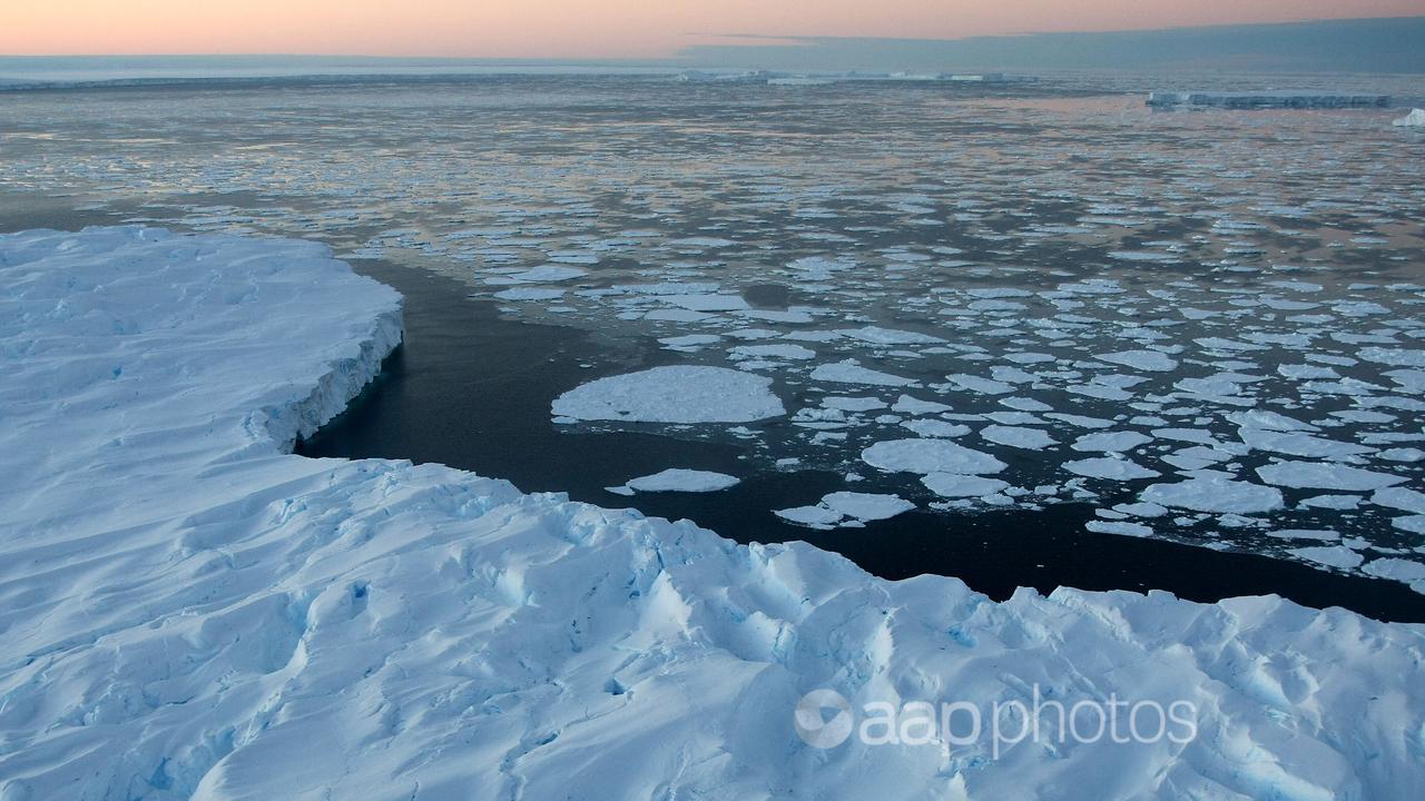 Icebergs surrounded by ice floe drift