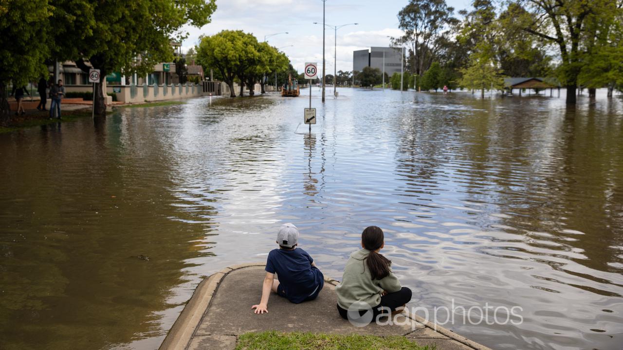 Children view floodwater in Shepparton, Victoria