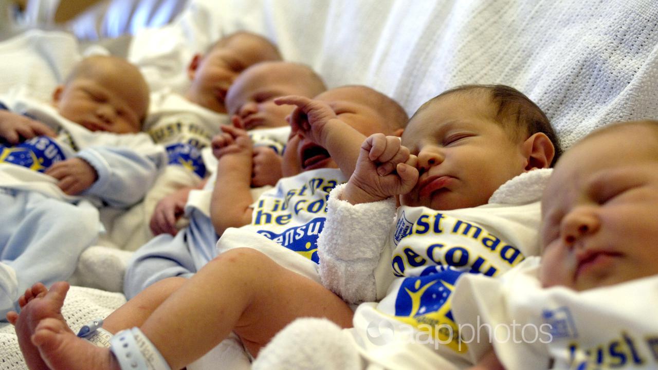 Newborn babies at a hospital in Canberra.