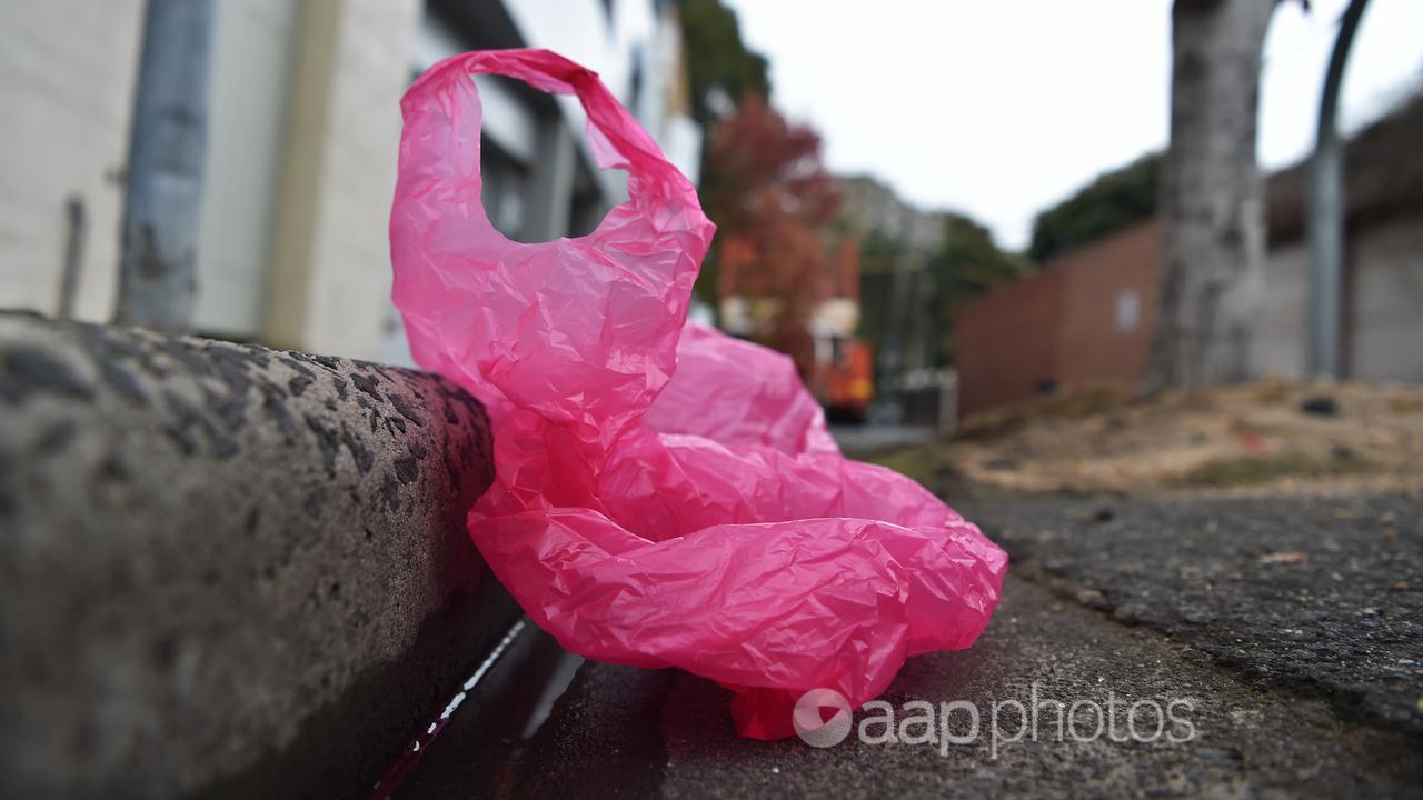 A single use plastic bag (file image)