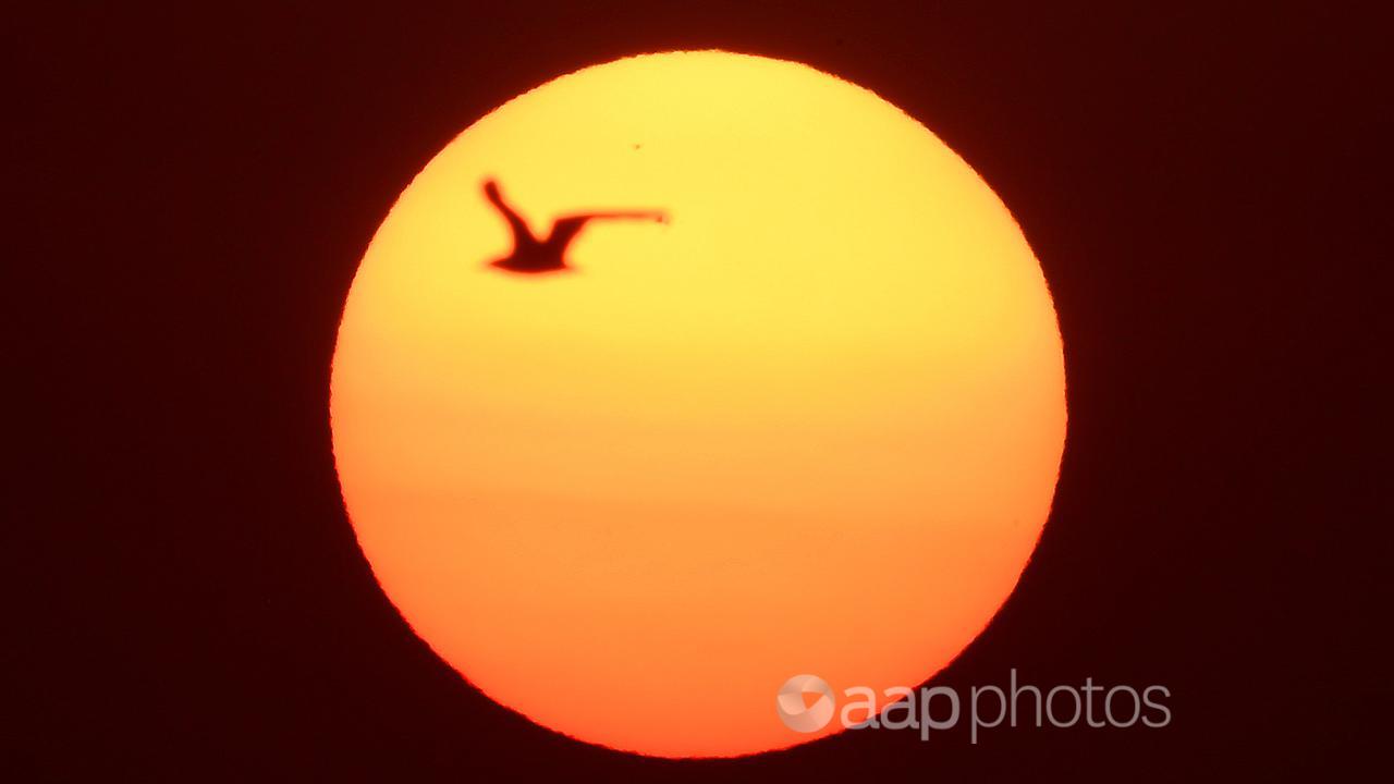 Sunrise over Altona pier in Melbourne.