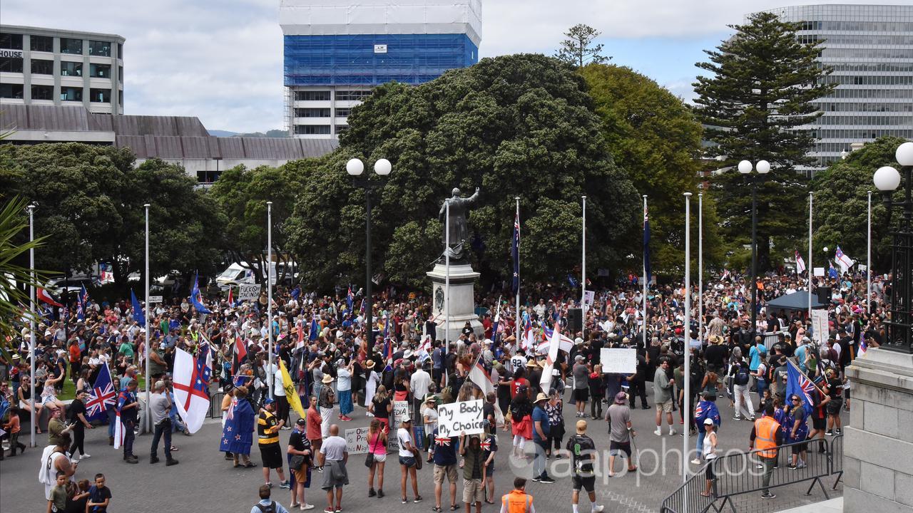 Protesters in Wellington.
