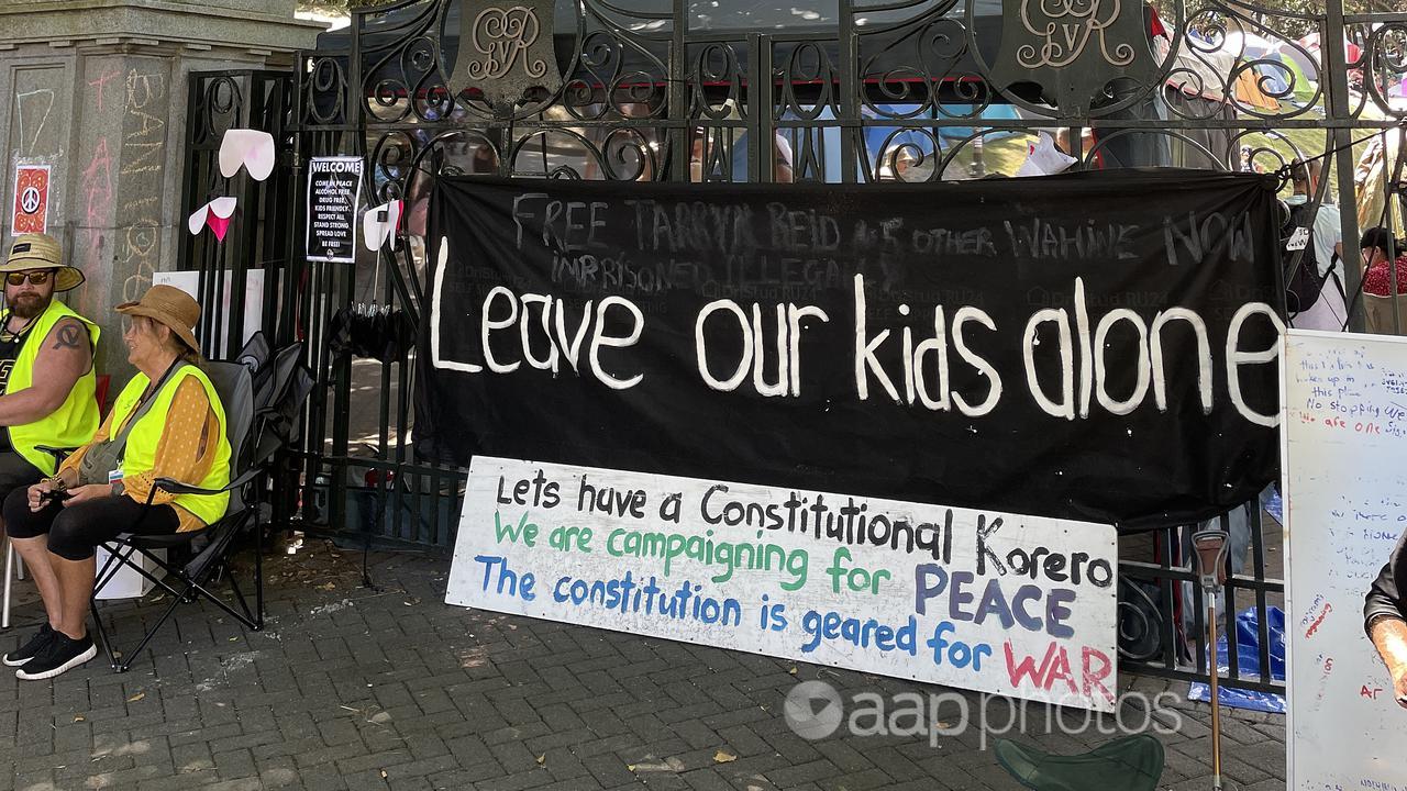Anti-vaccine protesters in Wellington (file image)