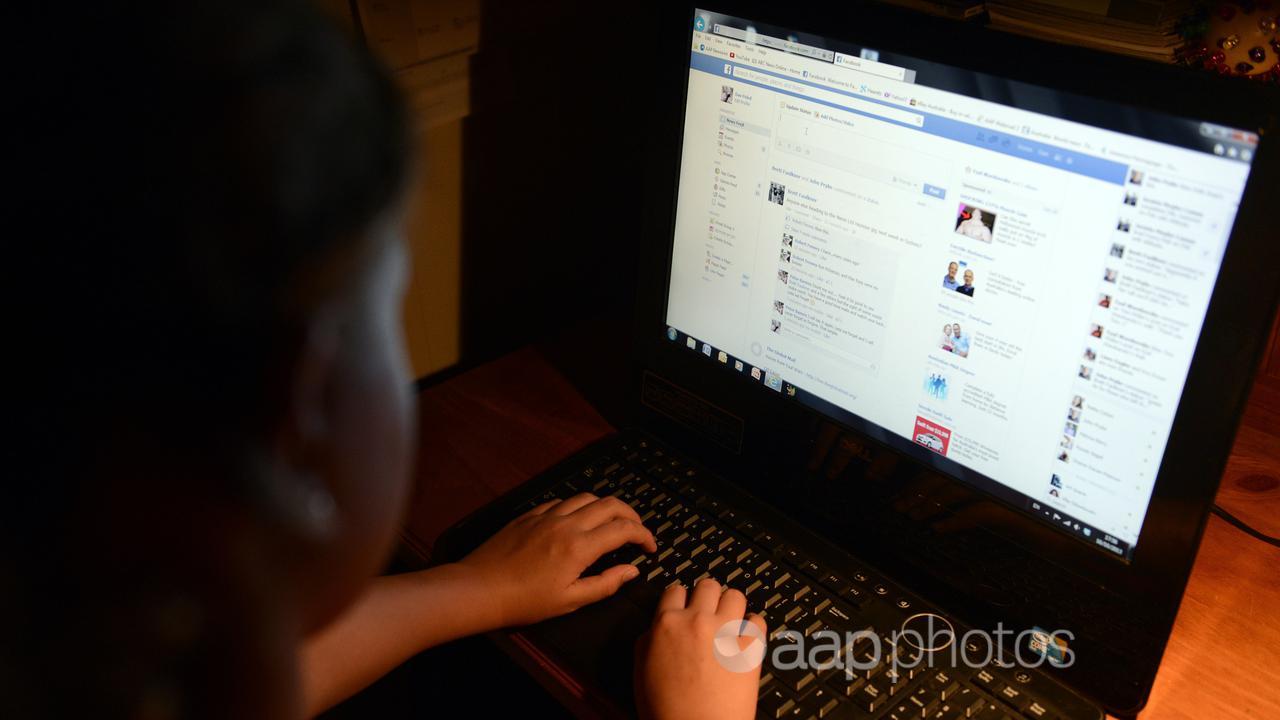 A young girl uses a personal computer in Brisbane (file image)