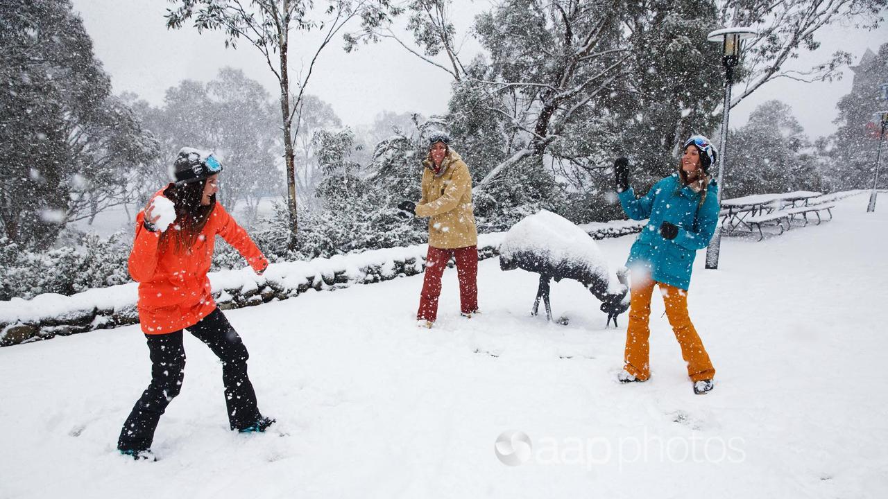 People having a snowball fight at Thredbo Resort in NSW (file image)