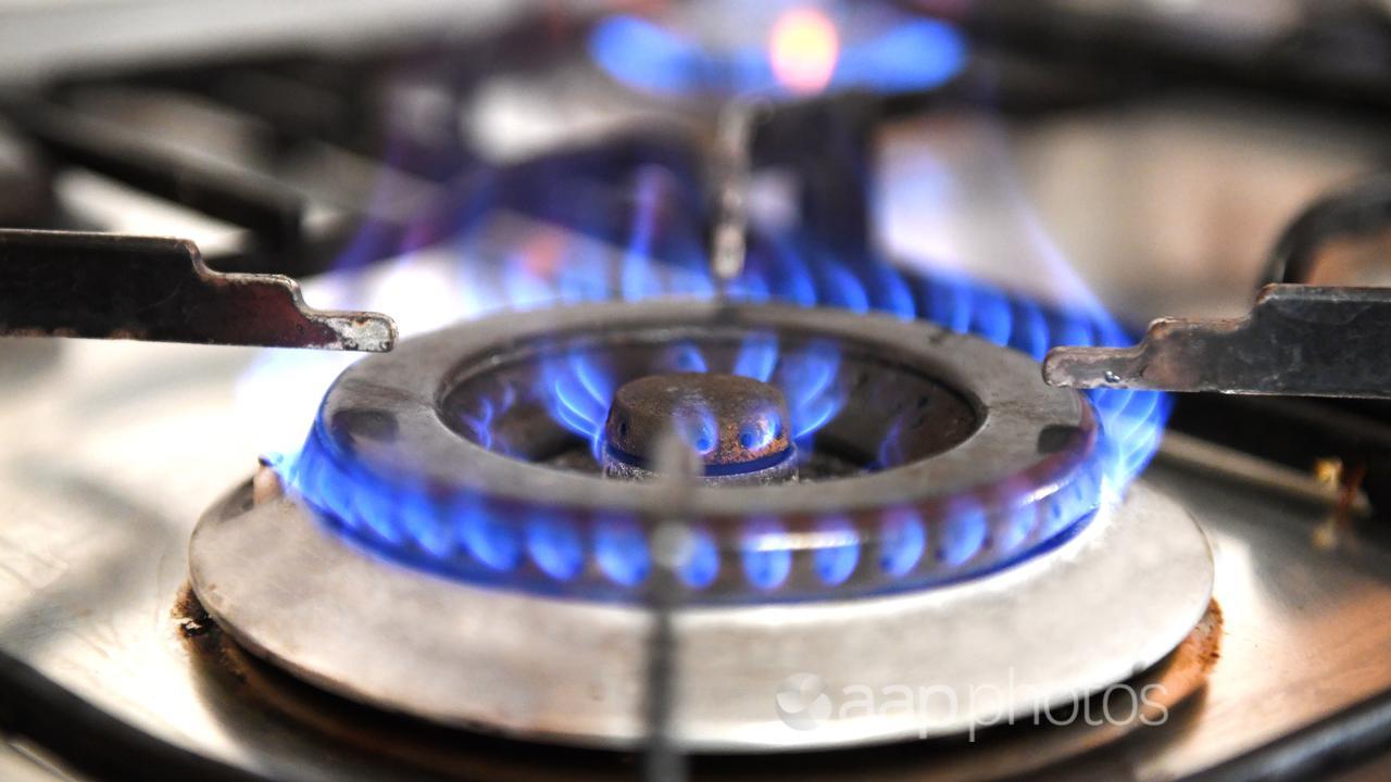 A kitchen gas stove burner (file image)