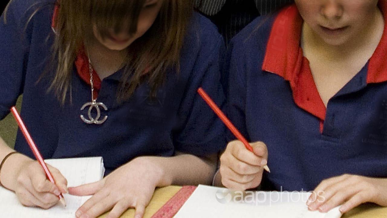 Students doing work at a school (file image)