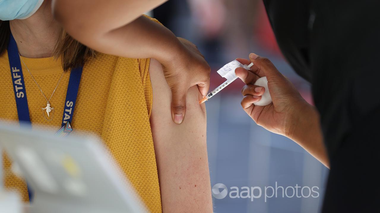 A woman receives a vaccination (file image)