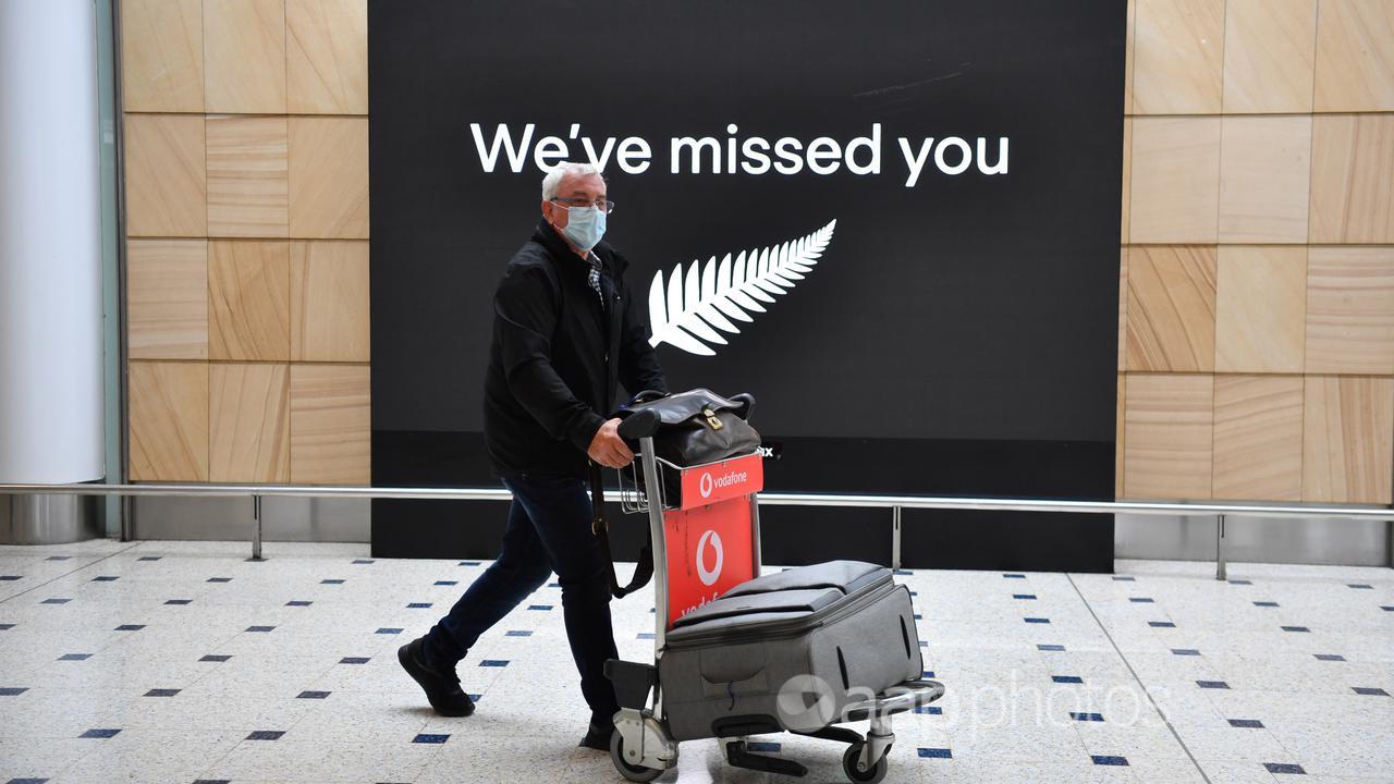 A New Zealand passenger arrives in Sydney (file image)