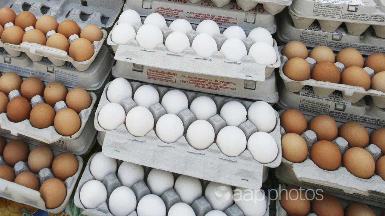 Eggs are displayed at a supermarket