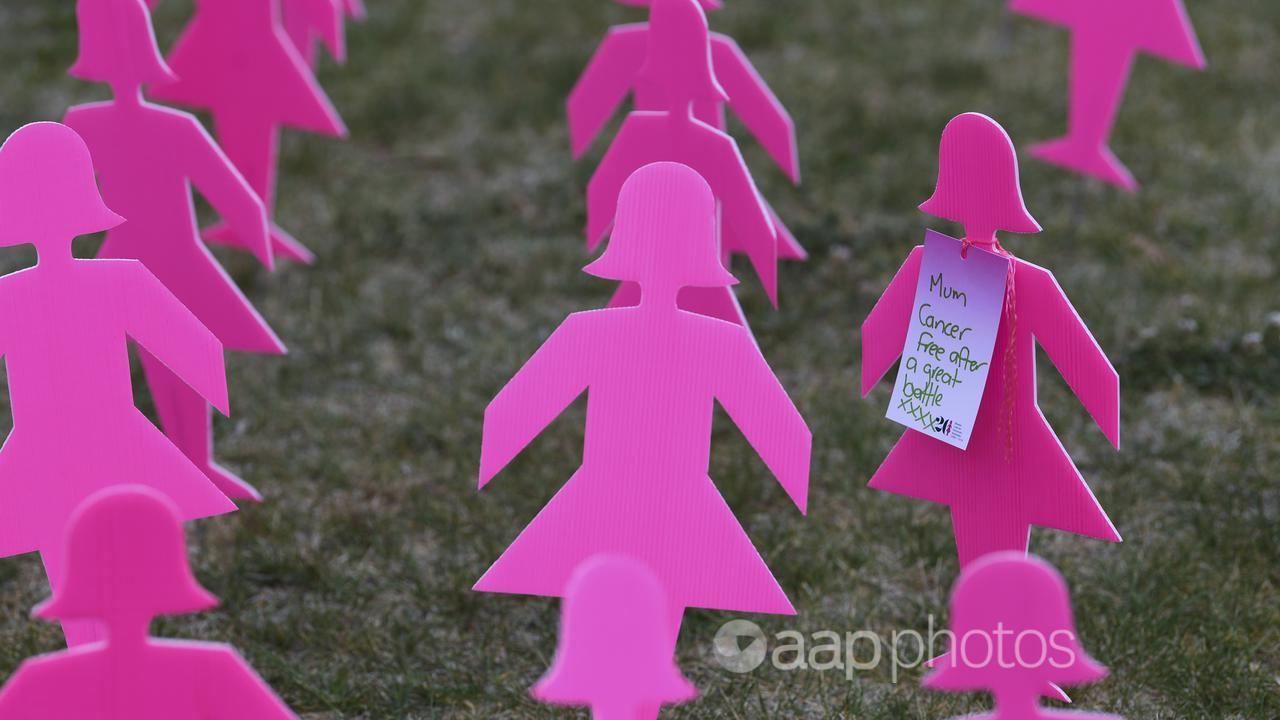 A breast cancer memorial (file image)