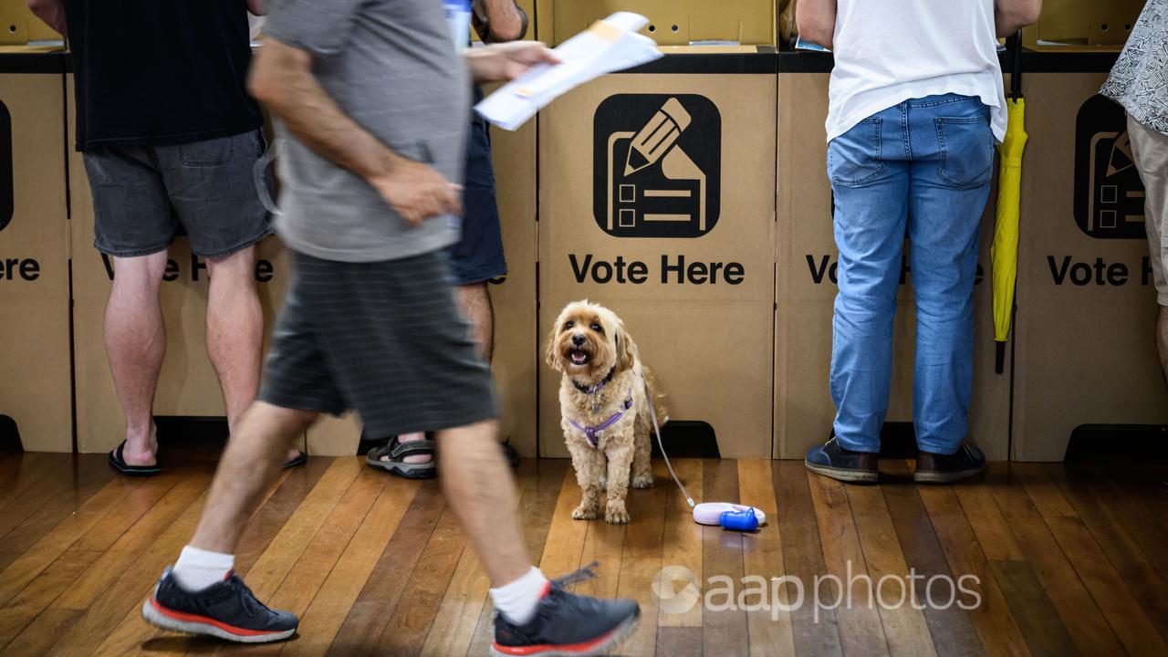 People voting in NSW state election day on March 25