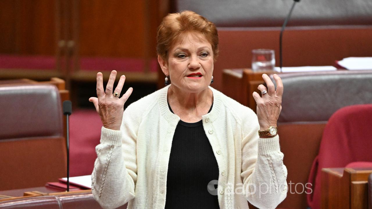 One Nation leader Pauline Hanson (file image)