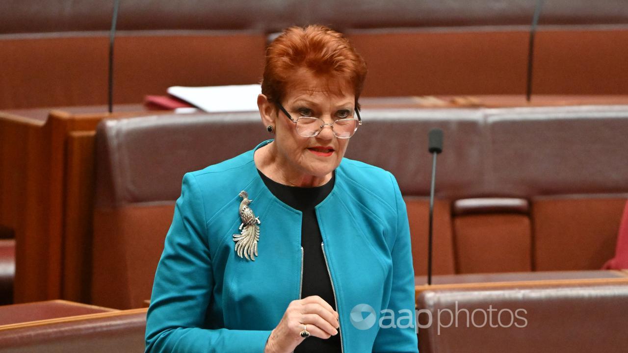 One Nation leader Pauline Hanson (file image)