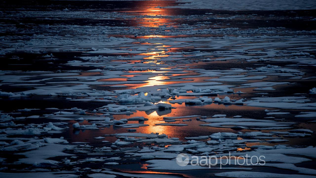 Arctic sea ice