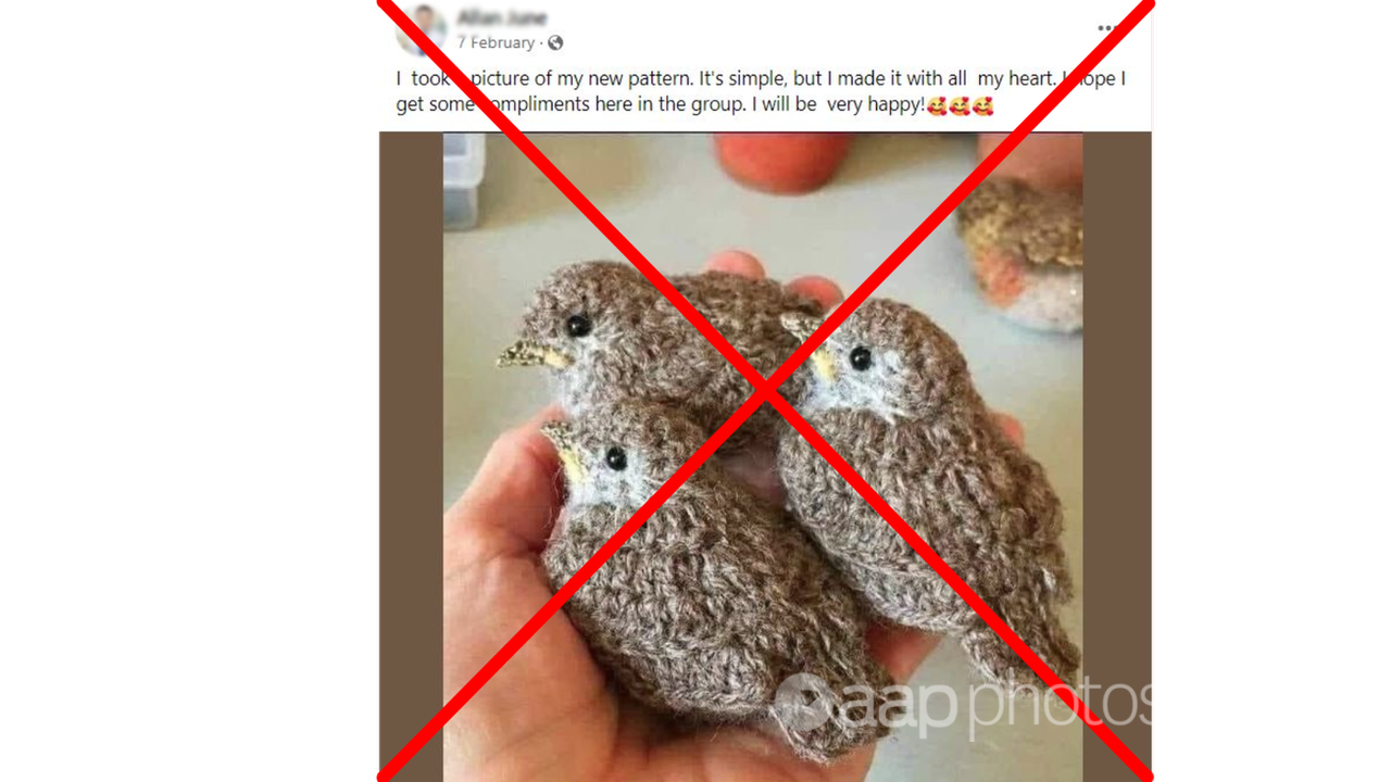 Fake crochet birds