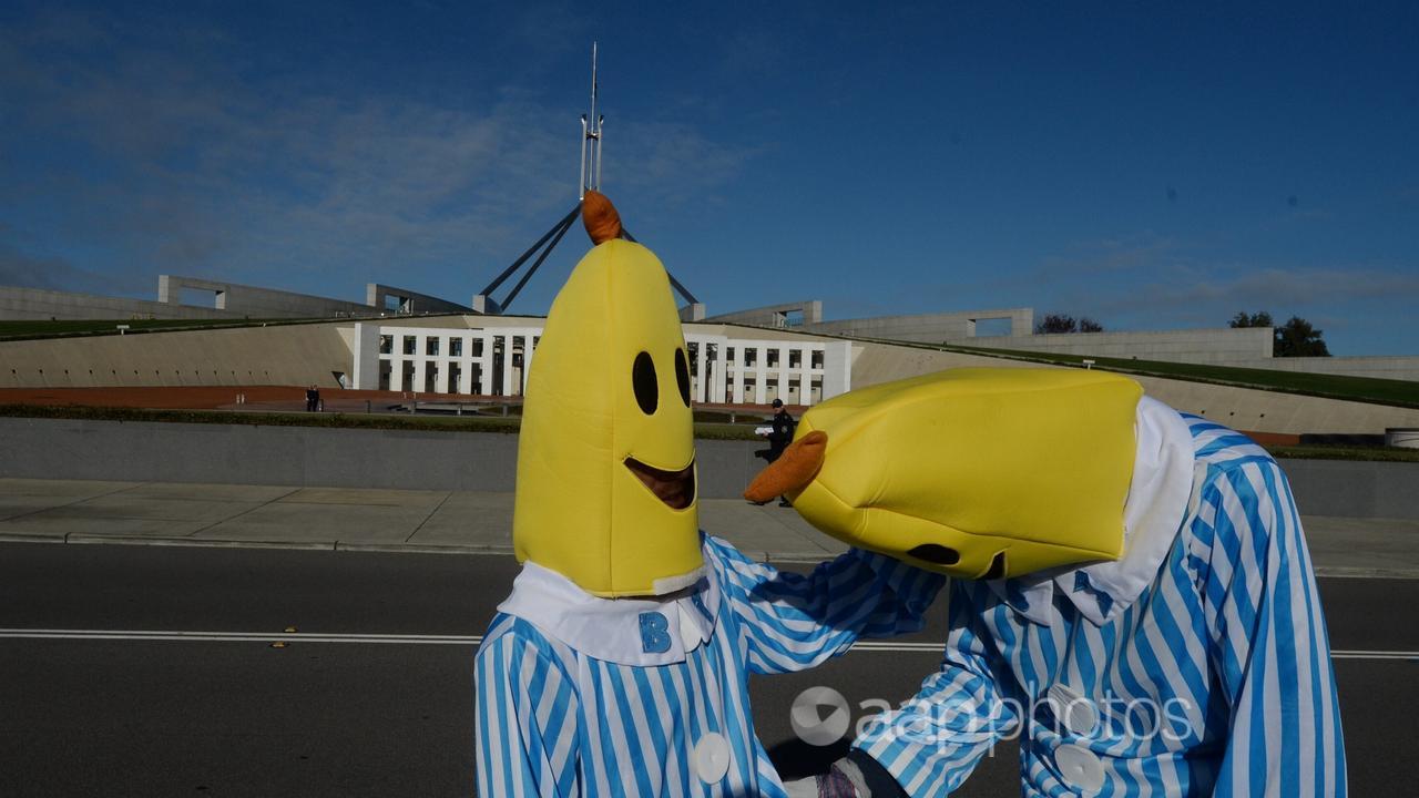 Bananas in Pyjamas outside Parliament House in Canberra (file image)