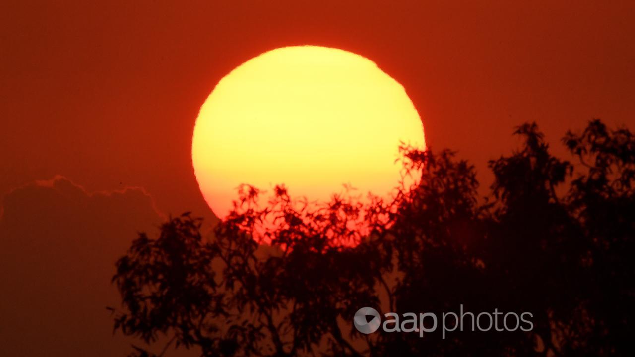 The sun rises over bushland in eastern Australia (file image)