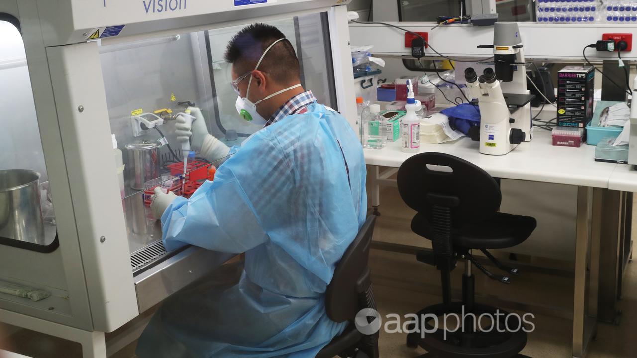 A scientist at the Doherty Institute in Melbourne (file image)