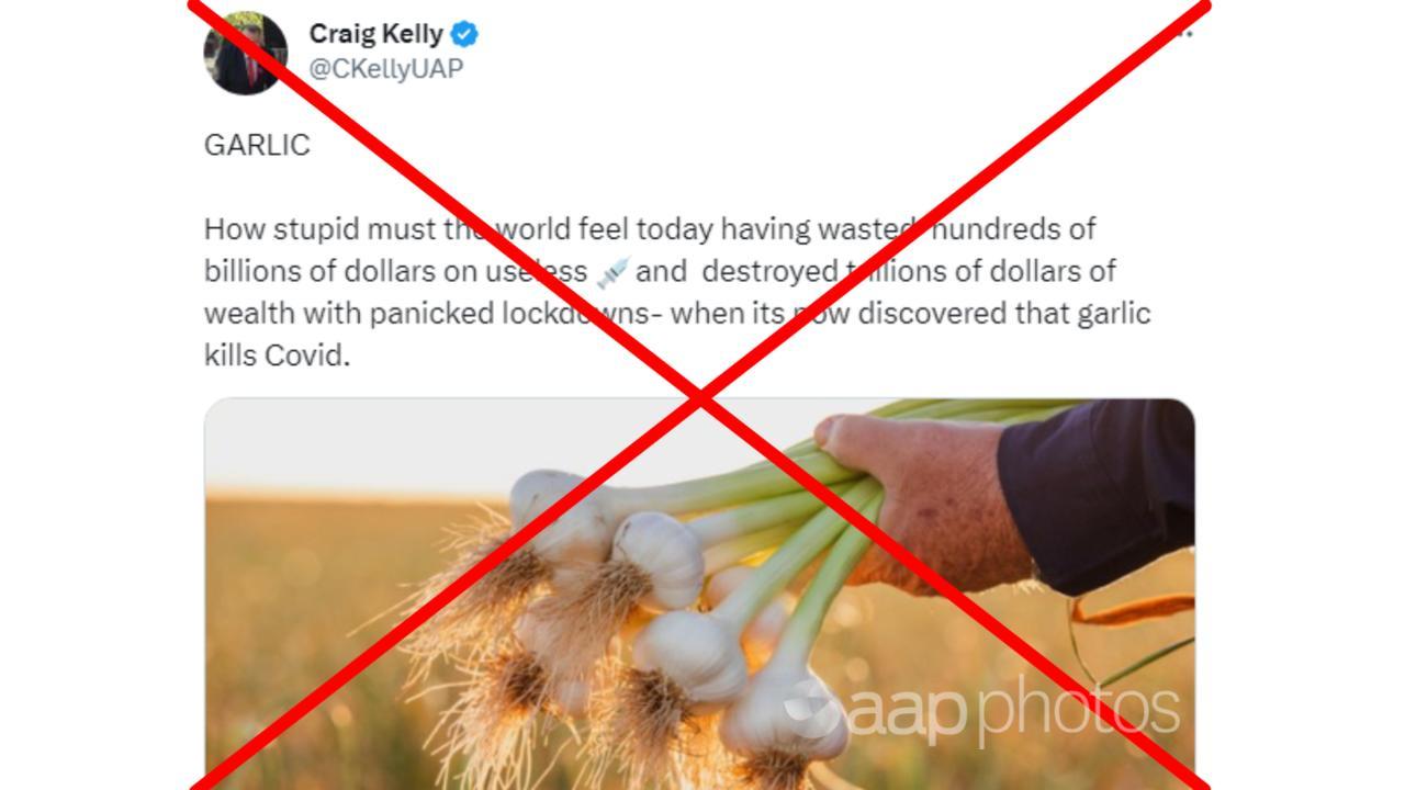 A screenshot of Craig Kelly's tweet.