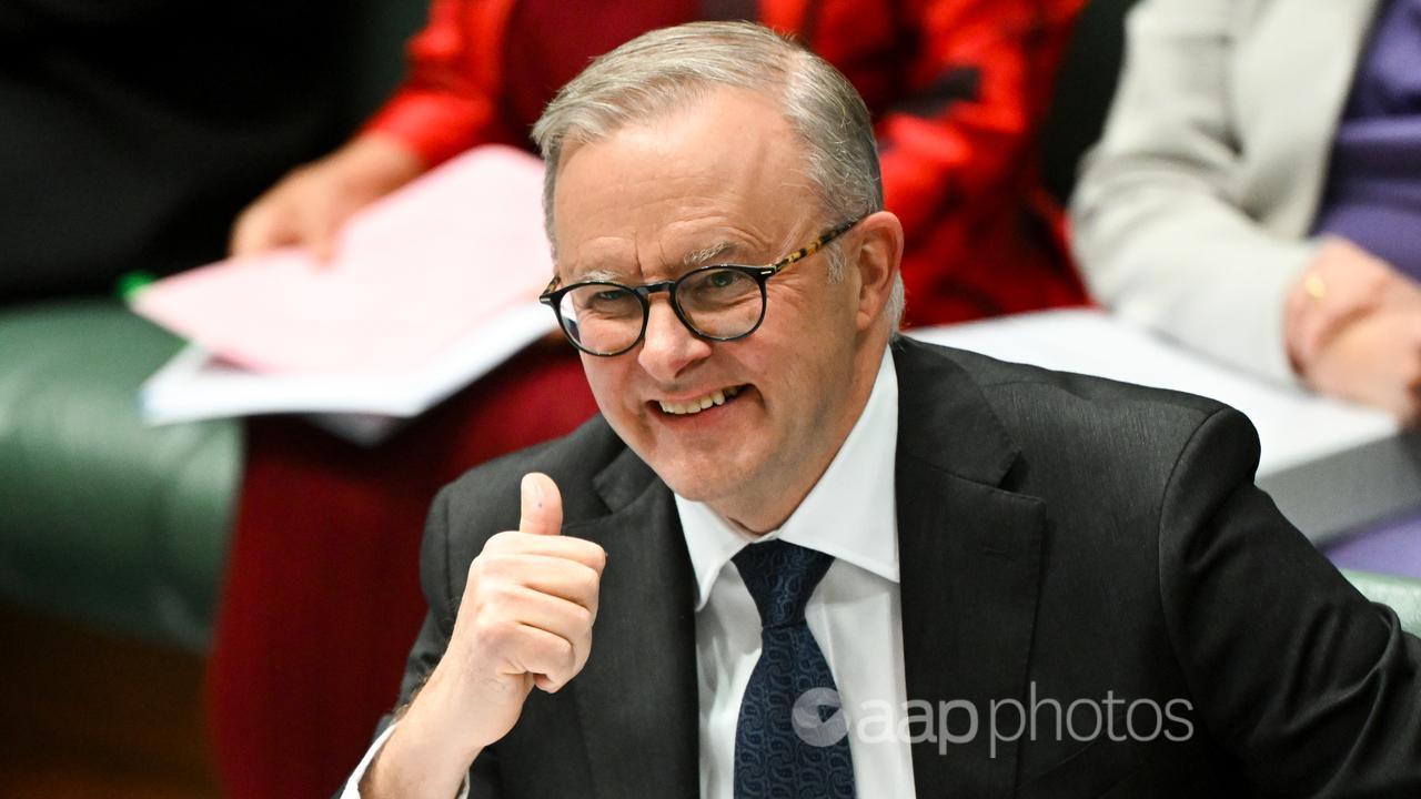 Prime Minister Anthony Albanese (file image)