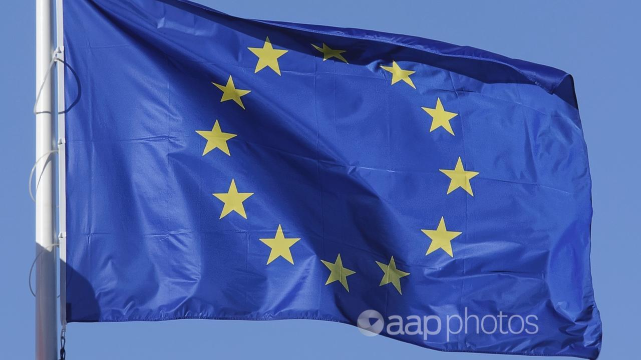 The European Union flag (file image)