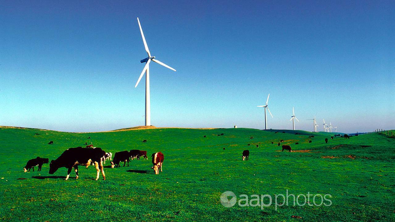 The Codrington Wind Farm in south western Victoria (file image)