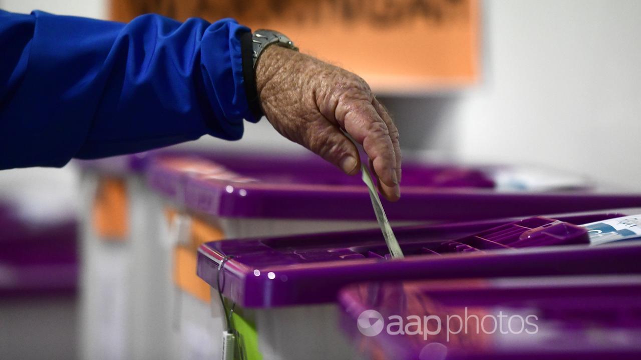 A person casts their vote (file image)