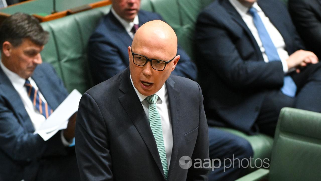 Opposition Leader Peter Dutton (file image)