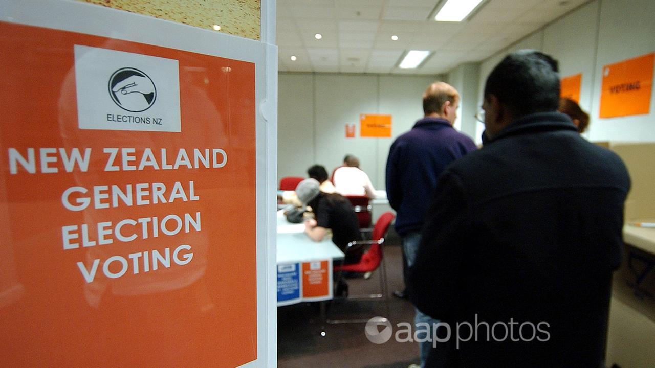 New Zealanders vote in a general election (file image)