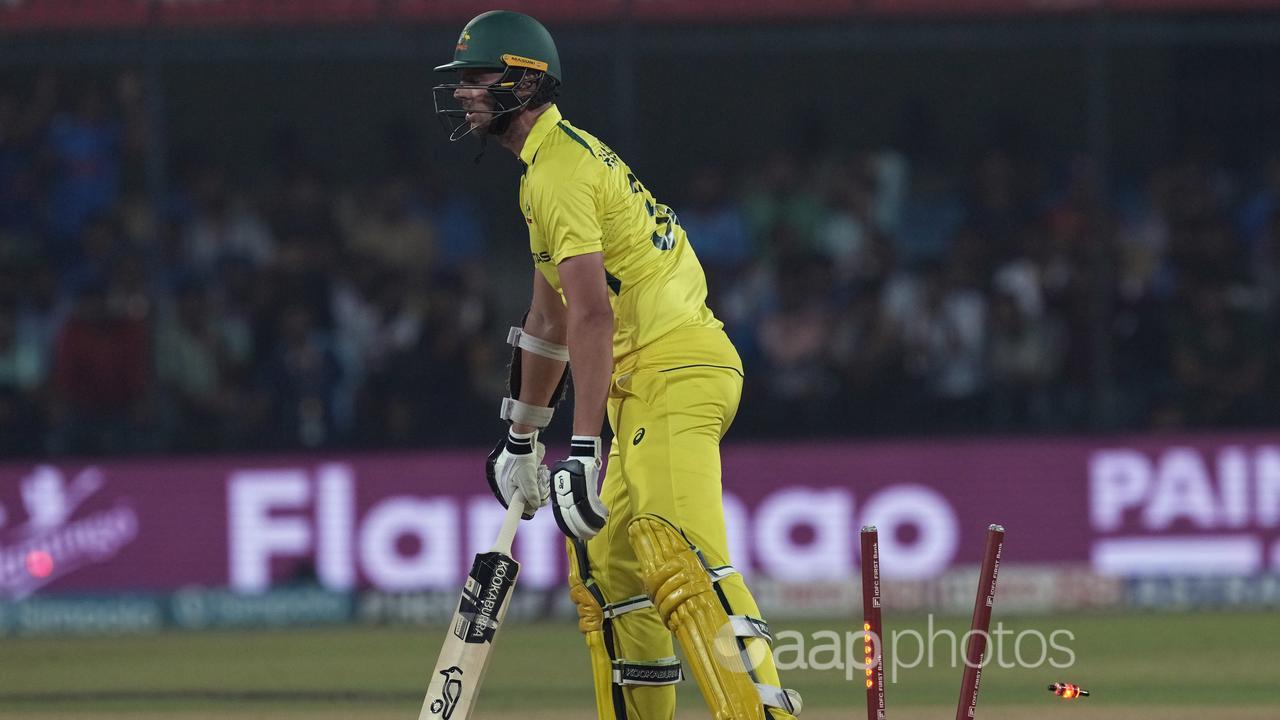 Hazelwood's stumps shattered