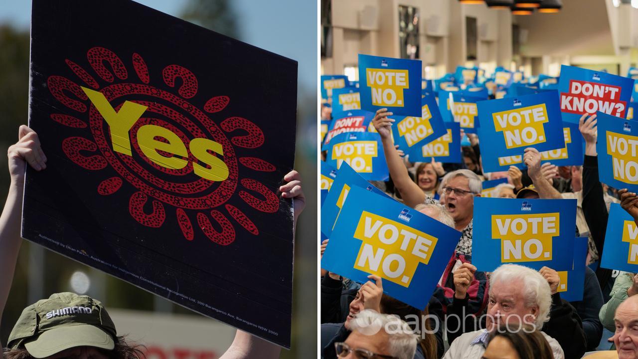 A diptych of 'yes' and 'no' placards (file image)