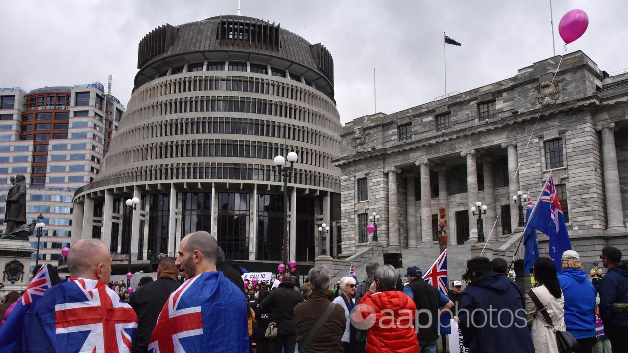 People outside Parliament House in Wellington (file image)